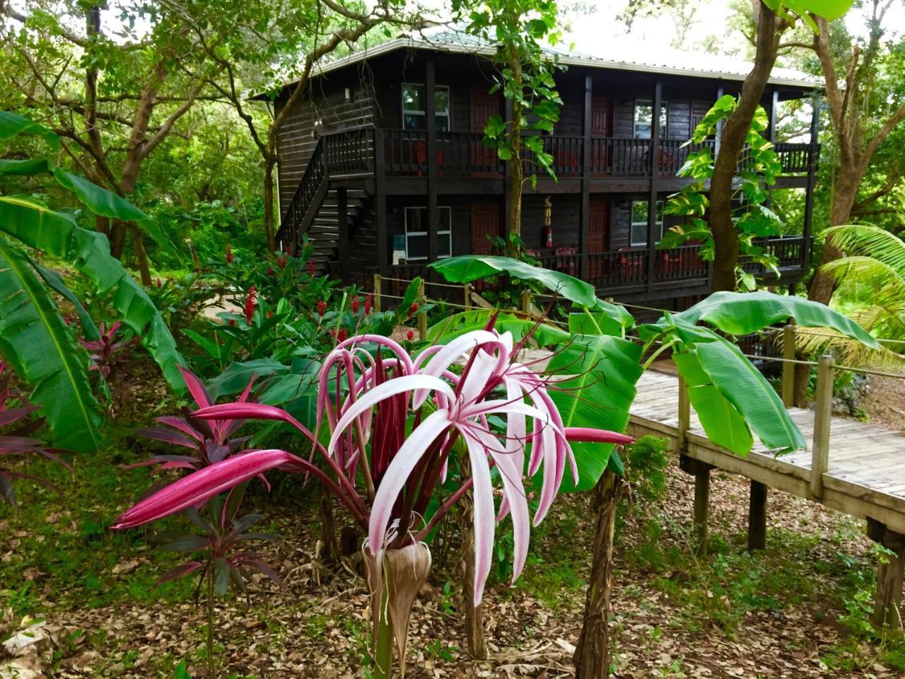 HOTEL UPACHAYA ECO-LODGE & WELLNESS RESORT MUD HOLE 3* (Honduras) - de R$  613 | iBOOKED